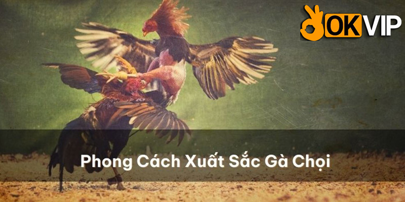 Liên kết với phương thức thanh toán