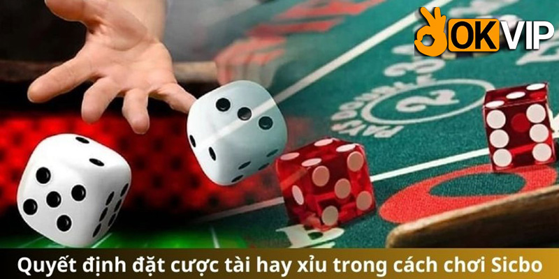 Đăng Ký Okvip - Bước Đầu Trở Thành Cao Thủ Cá Cược